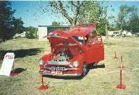 More Pictures...
